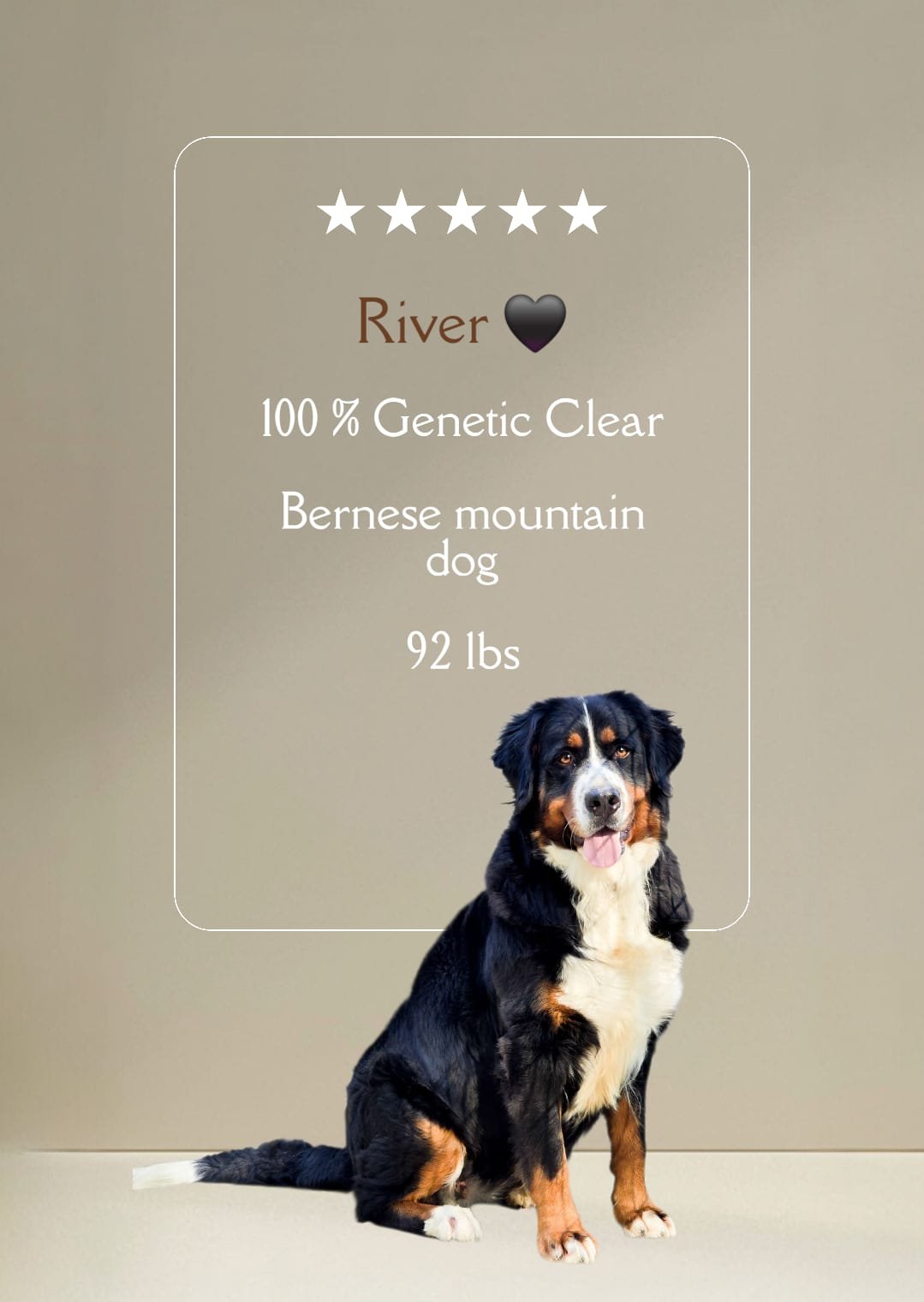 WhatsApp Image 2025-09-26 at 11.06.02 AM (2)