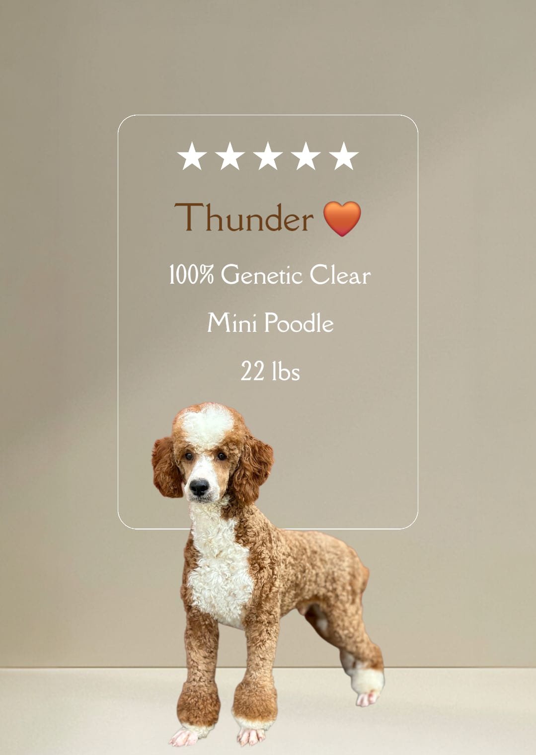 WhatsApp Image 2025-09-26 at 11.06.03 AM (1)