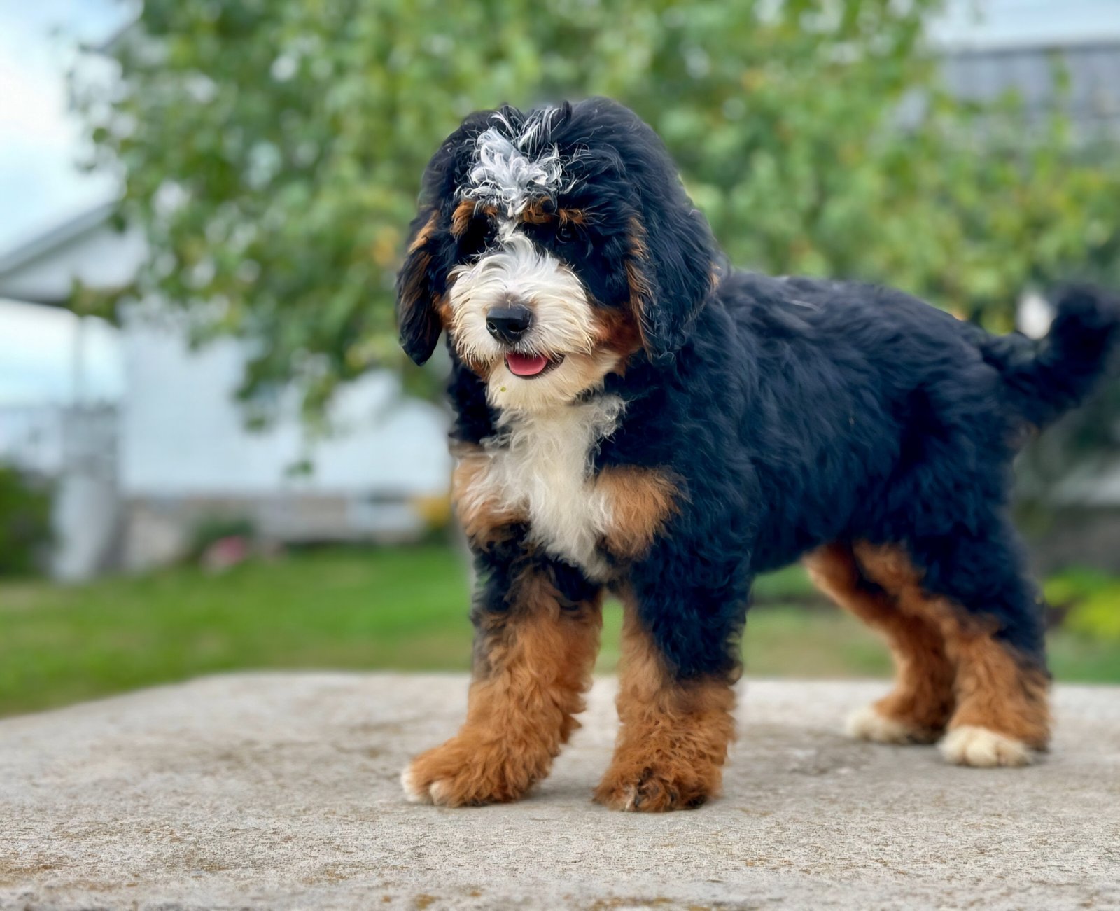 Screenshot_20251122_120628_Dropbox