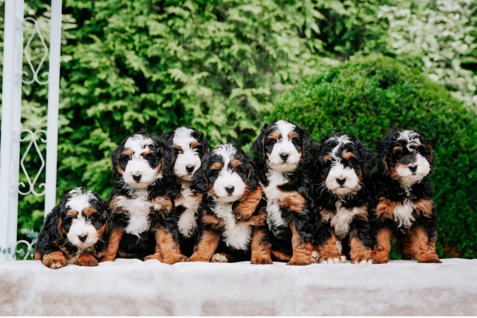 Screenshot_20251122_120650_Dropbox