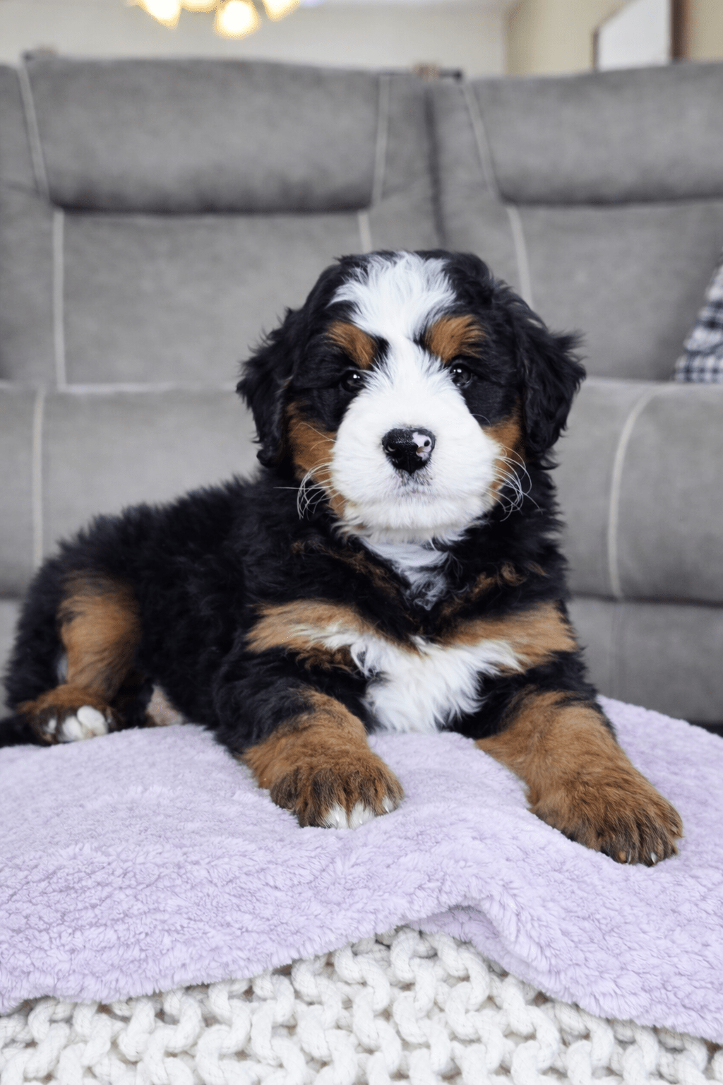 file_00000000258071f59adf83a37cbddceb