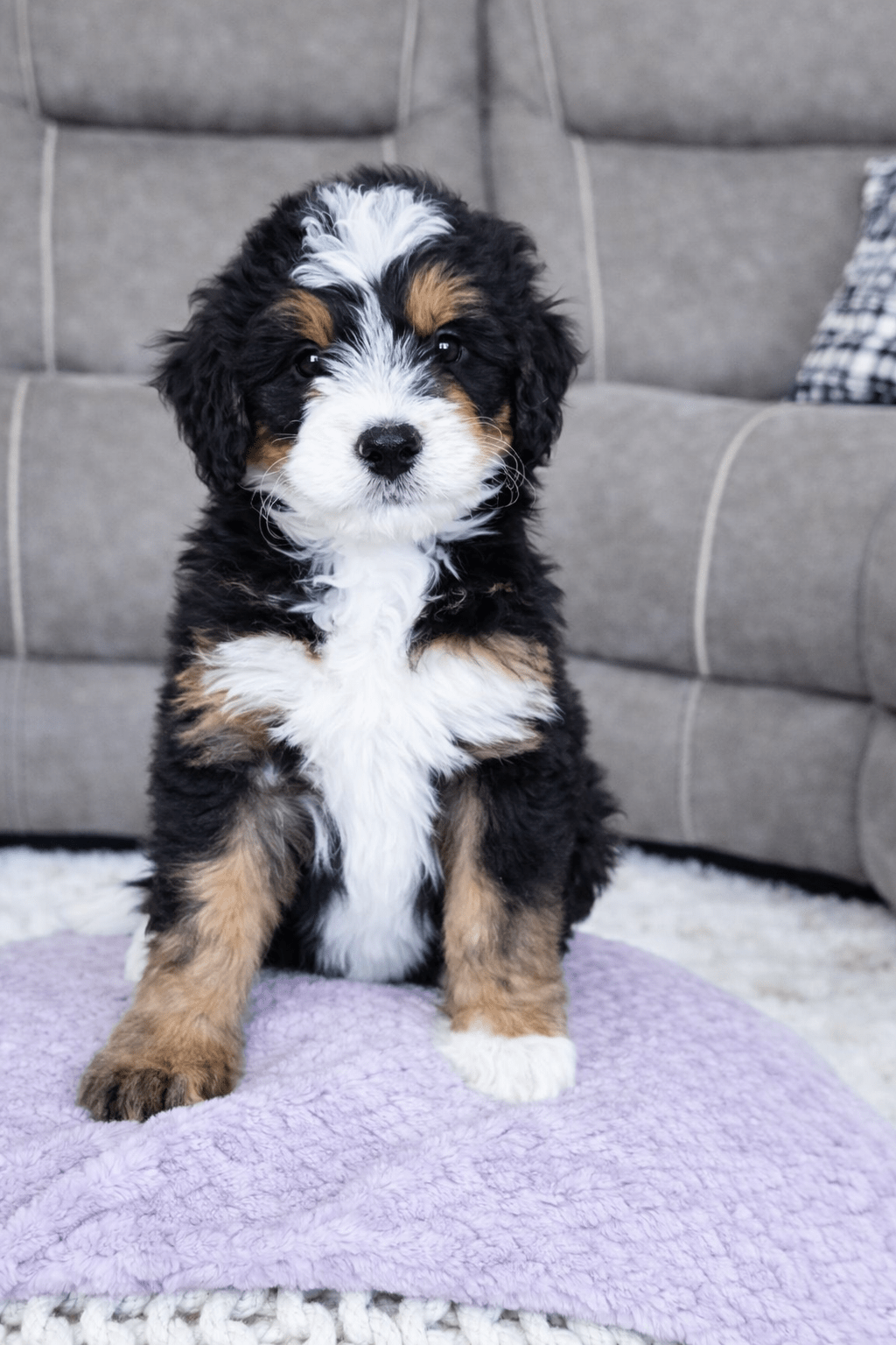 file_000000005c0c722fa5f887c07e7a128d