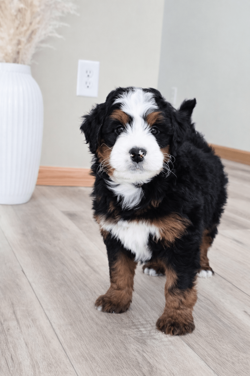 file_000000005f8471f5a6e616376b6ed909 (1)