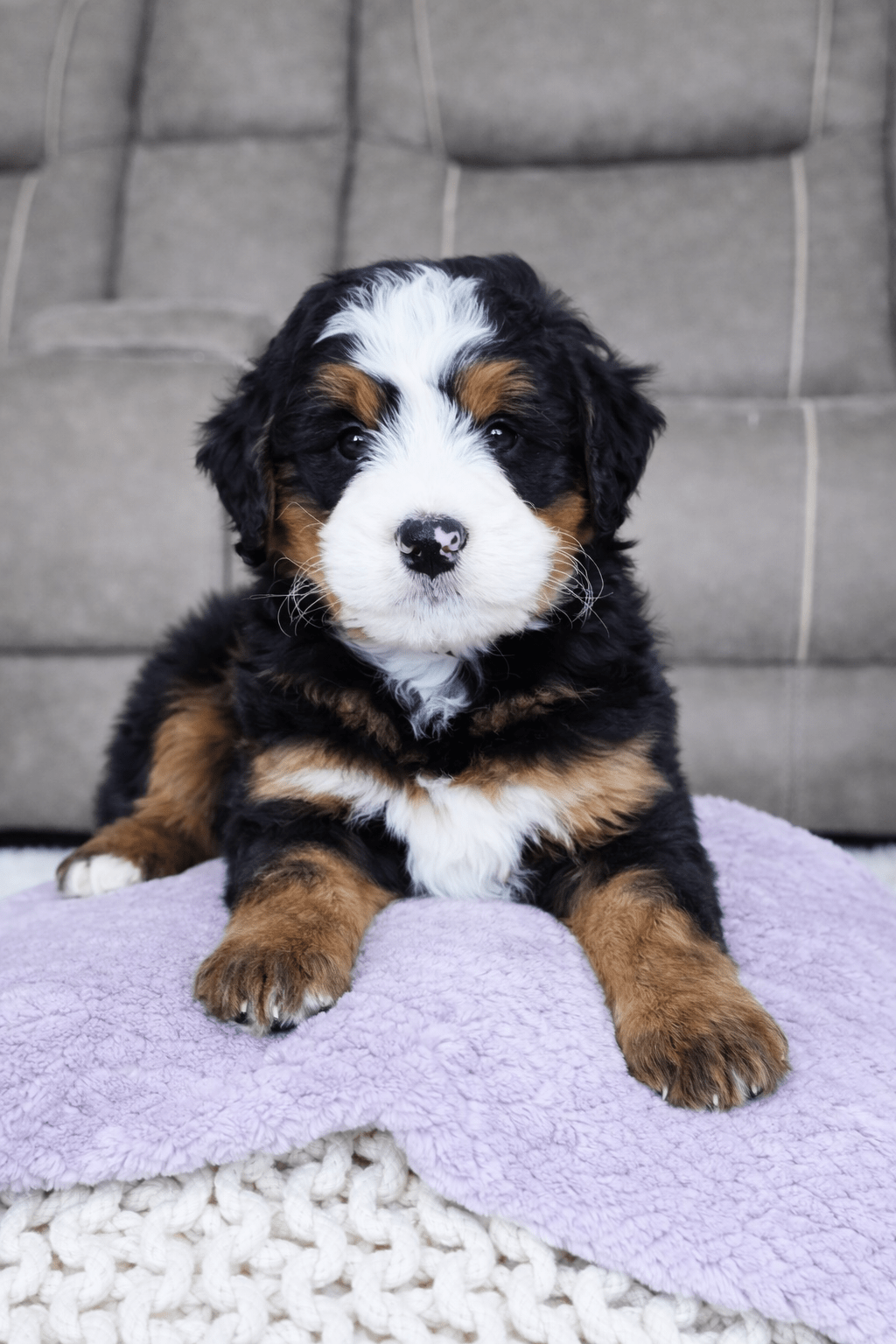 file_0000000063f8722f959bc213852b9a94