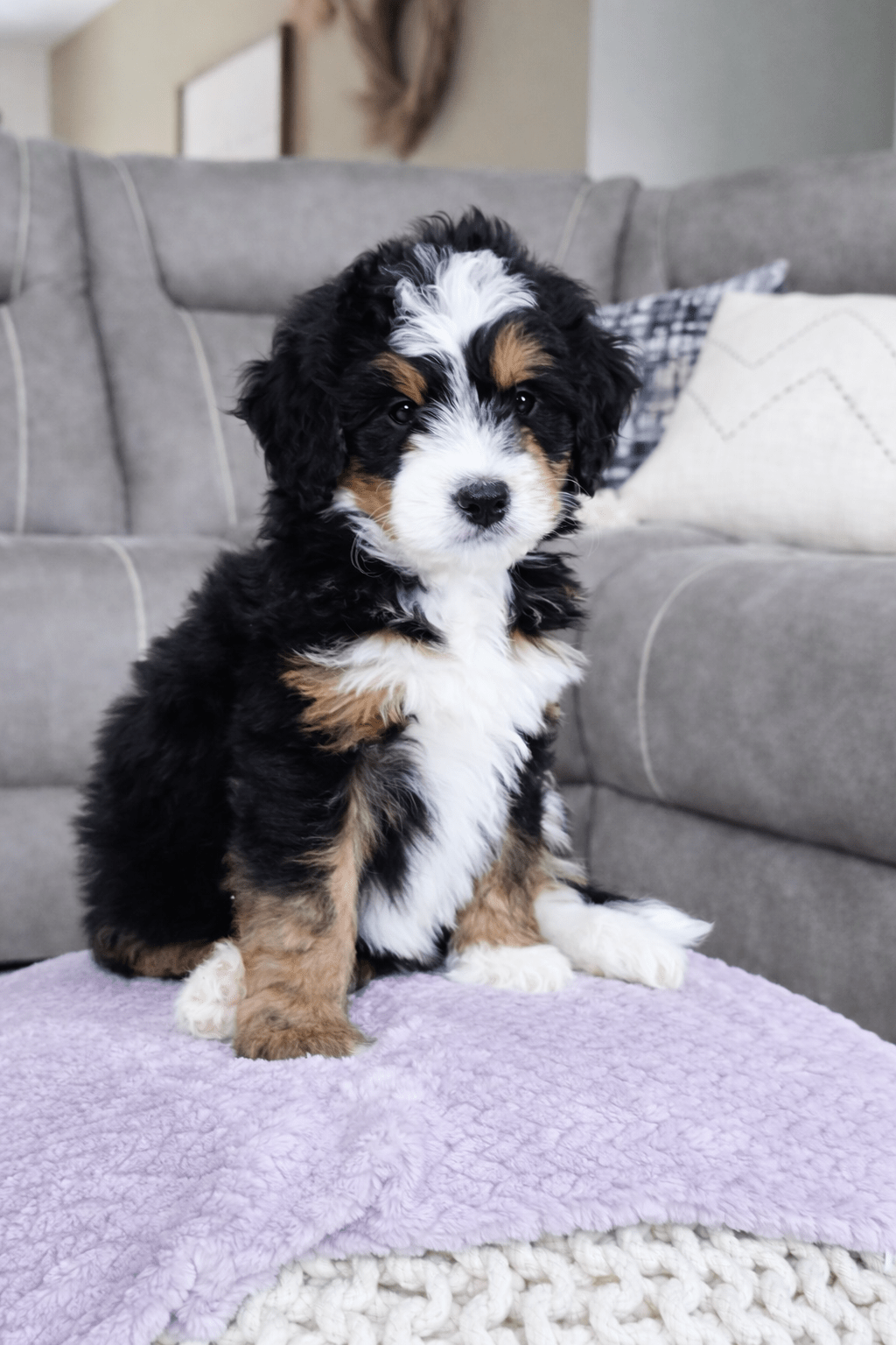 file_0000000075c871f581d908999849bf26