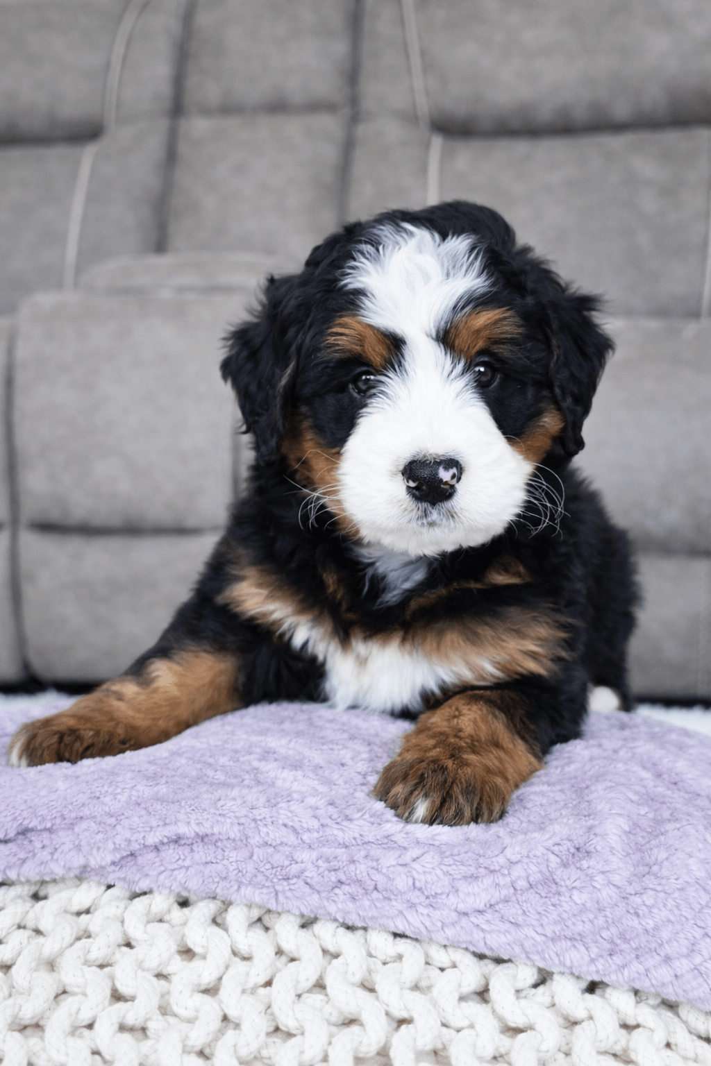 file_000000009128722fa41472579de2aee2