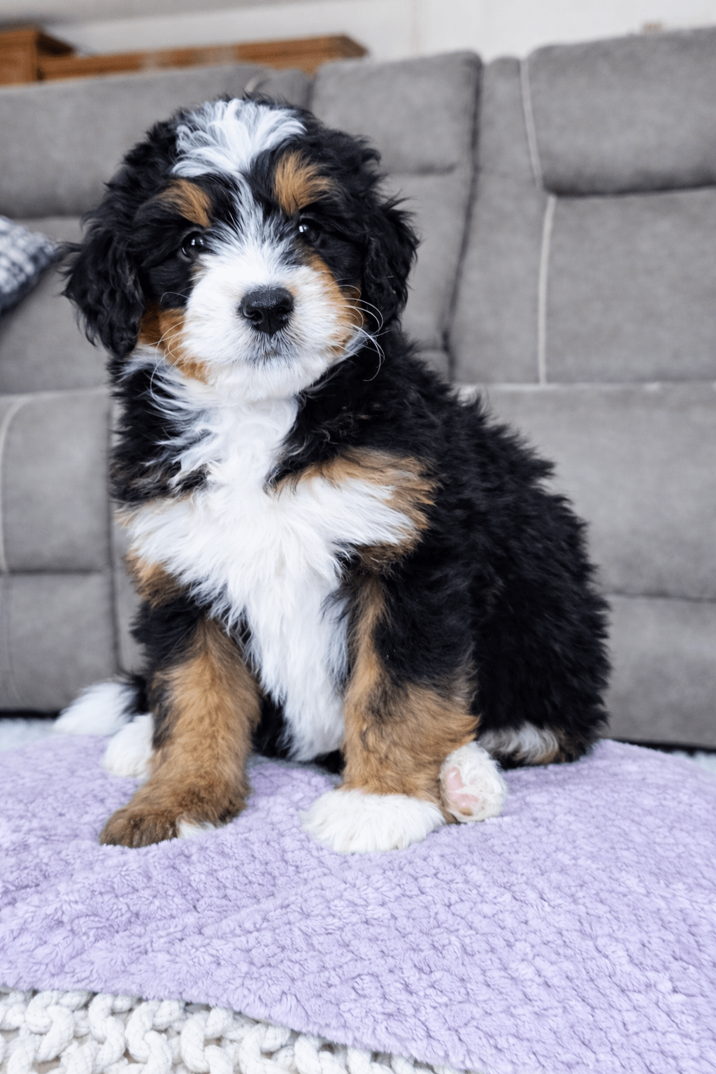 file_00000000a918722f9fd570692ed805c0