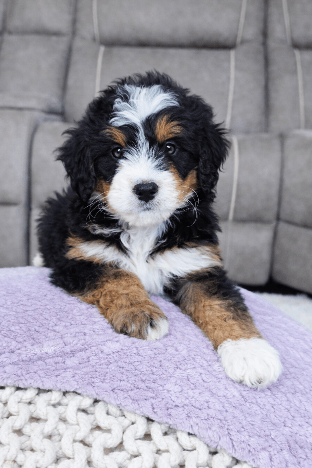 file_00000000b0b4722f89af024396fa169a