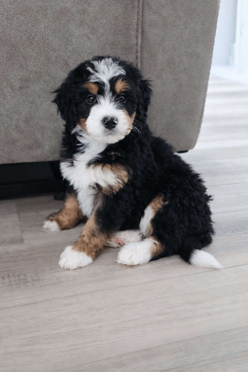 file_00000000c46871f595db6769eaa8ea64