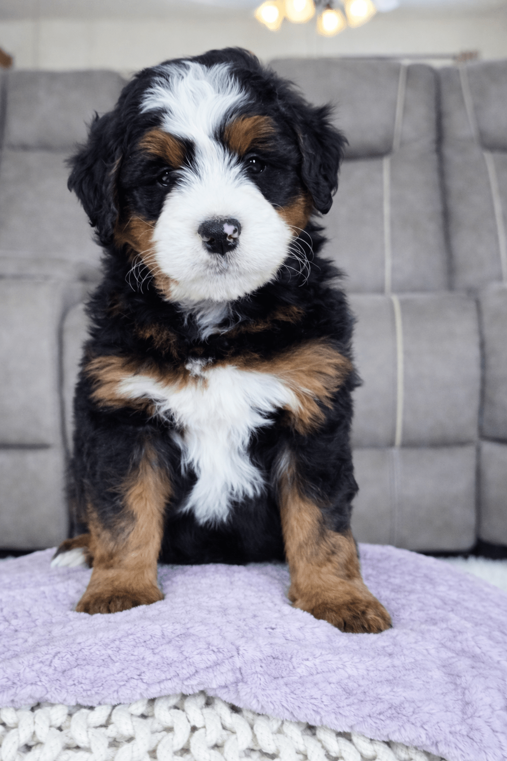 file_00000000cd8871f5a2ec70b37f47bbb7