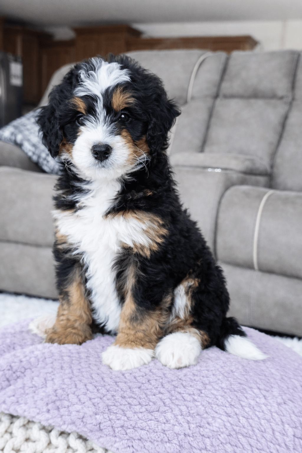 file_00000000d7b0722fbc090f79e0081cb8